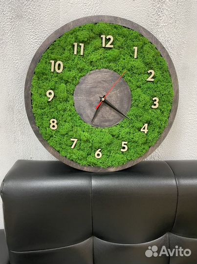 Часы со стабилизированным мхом