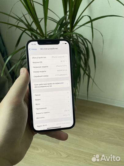 iPhone 12 Pro, 256 ГБ