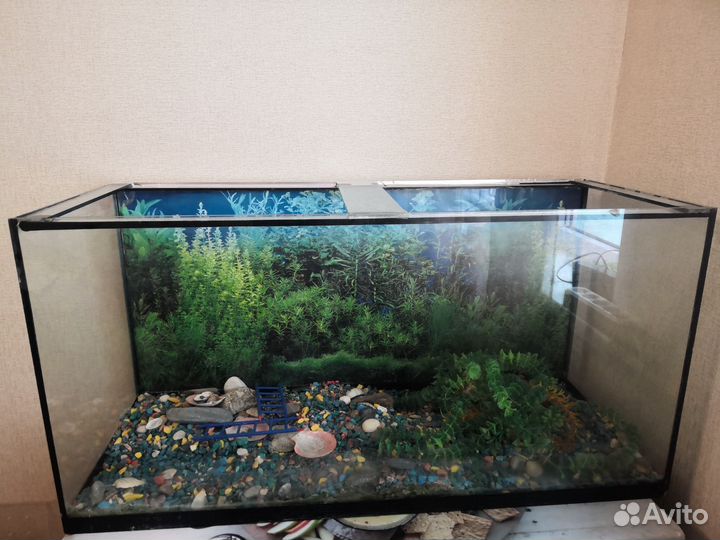 Аквариум