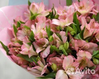Букет из 15 розовых альстромерий