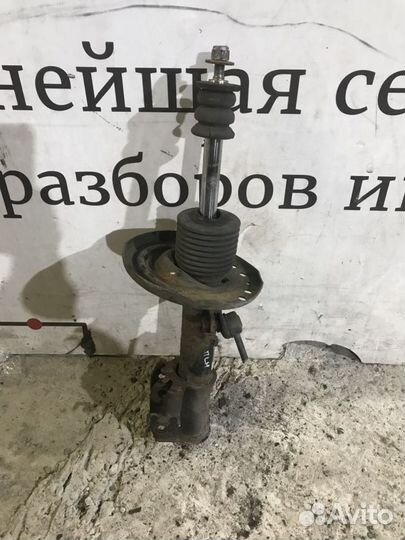 Амортизатор передний Renault Scenic III (2009—2012