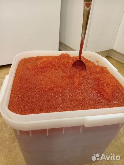 Красная икра 2023