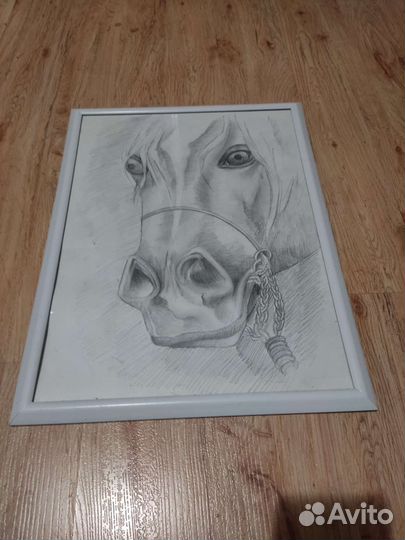 Коллаж: Лошади