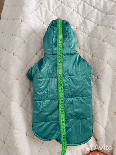 Костюм для маленькой собаки