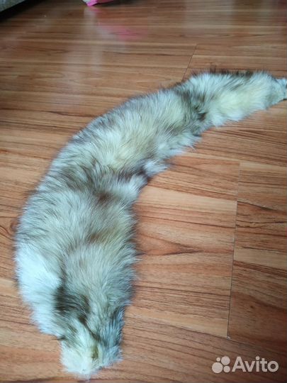 Воротник песец