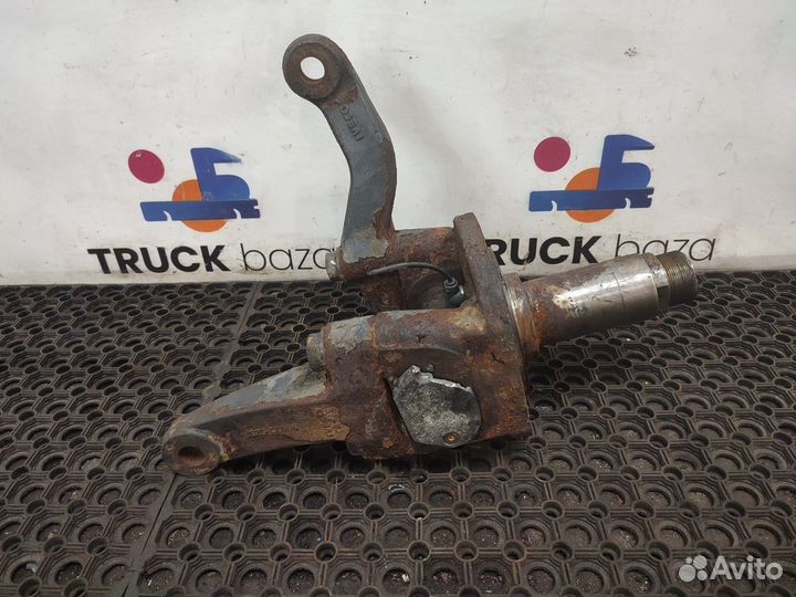 7182183 Кулак поворотный Iveco Stralis