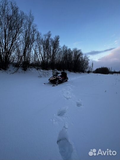 Снегоход Sharmaх 880 shp long