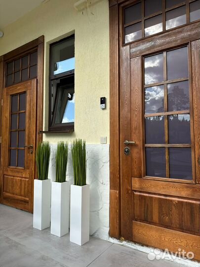 Осока,трава в кашпо, премиум-качество