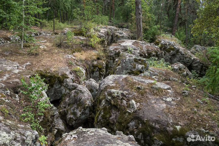 Автобусный тур