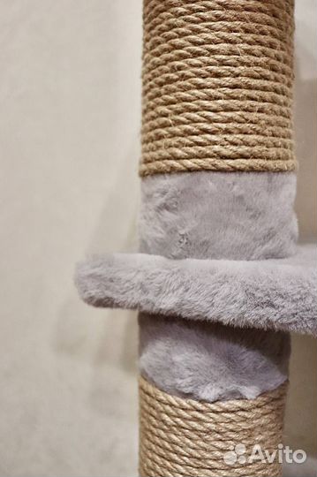 Домик когтеточка для котят