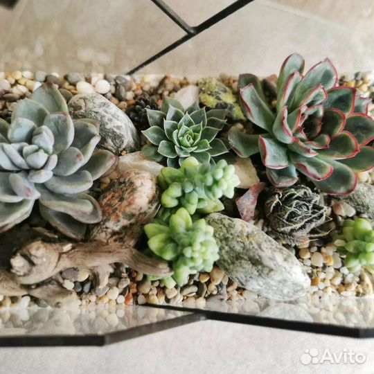 Флорариум в форме сердца