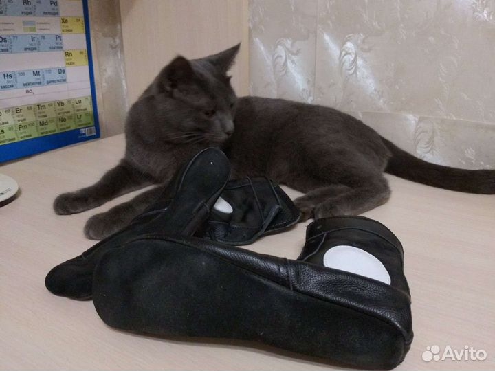 Борцовки/Самбовки