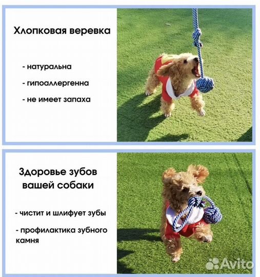 Игрушка для собак / мяч плетенный для собак