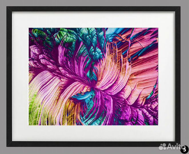 Фотографии