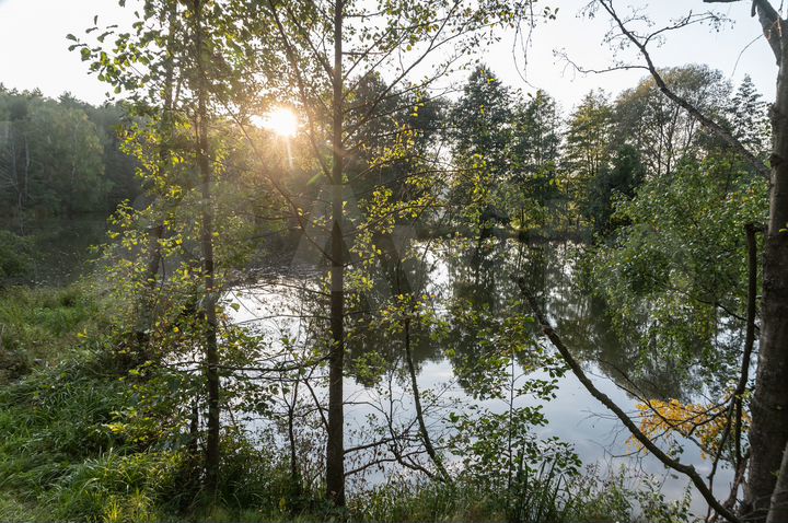 Участок 6 сот. (ИЖС)