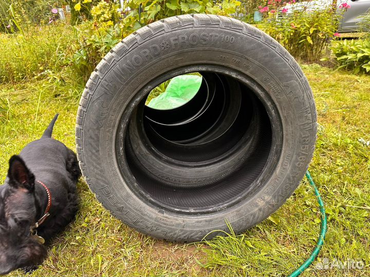 Gislaved NordFrost 100 15/65 R15 185