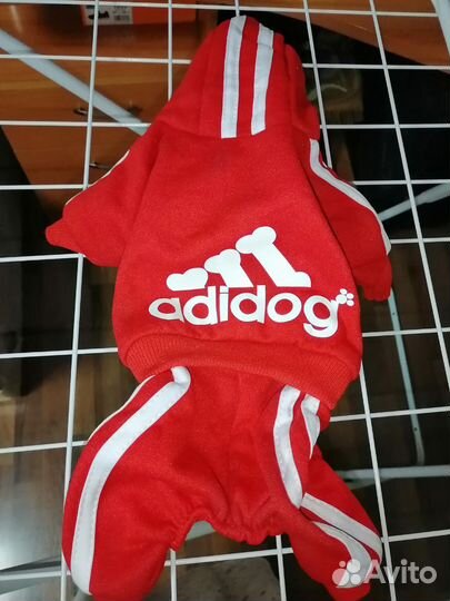 Одежда для маленьких собак