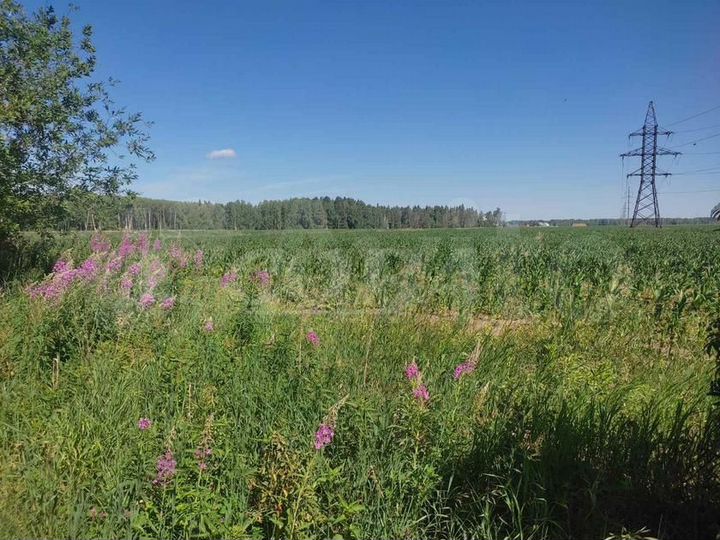 Участок 5,7 га (СНТ, ДНП)