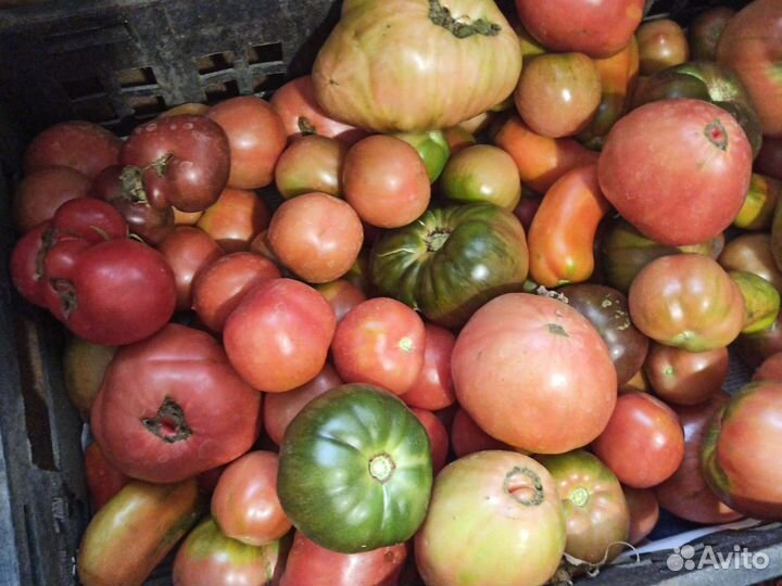 Продажа свежих овощей