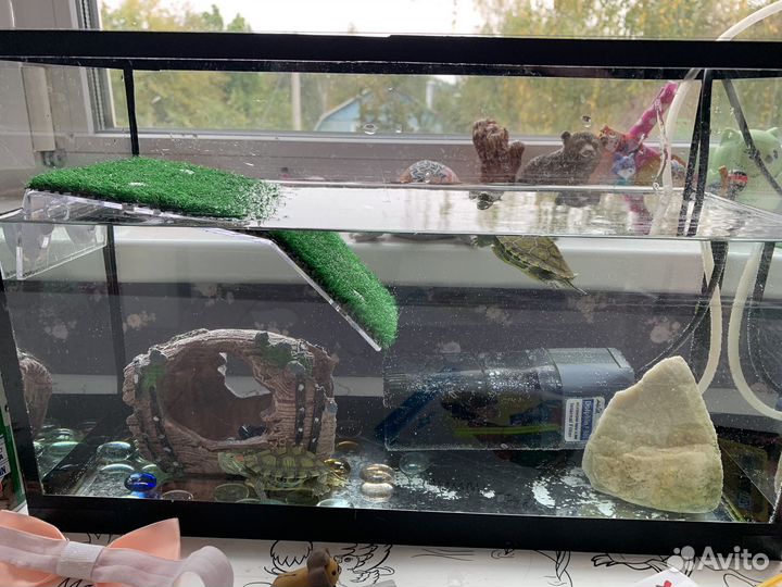 Аквариум