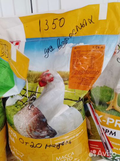 Комбикорм зерно