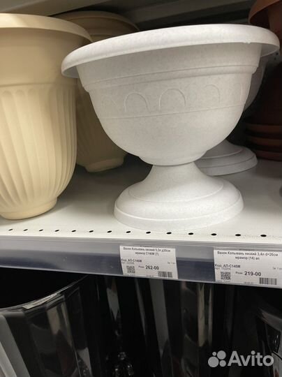 Декабрист Шлюмбергера Кактус Комнатные цветы