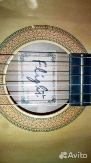 Гитара Flight уменьшенная с тёплым чехлом