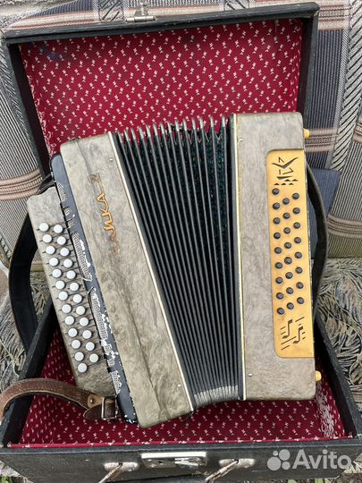 Шуйская гармонь чайка 2