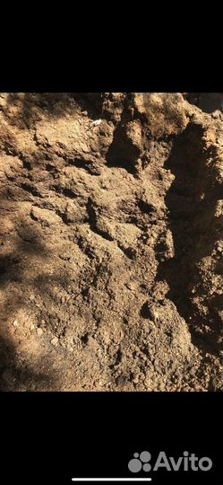 Все что отдают бесплатно