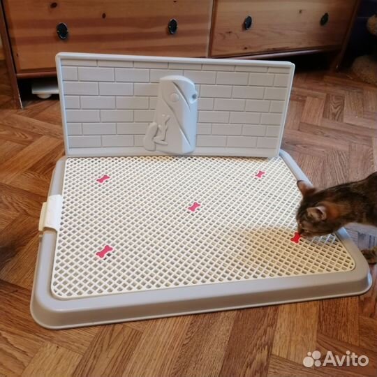 Лоток для собак