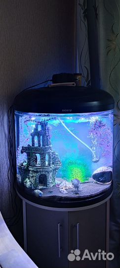 Аквариум с тумбой