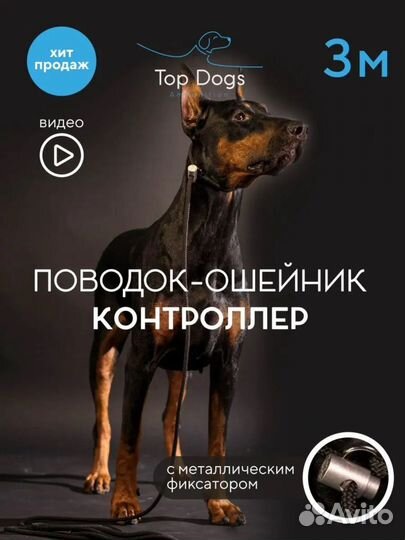 Поводок контроллер
