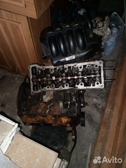 Двигатель ford focus 1 duratec 1.6