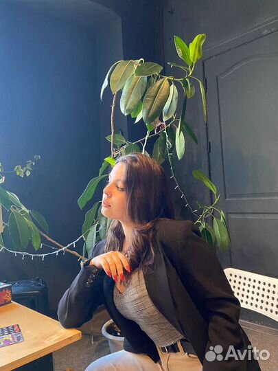 Репетитор по английскому языку