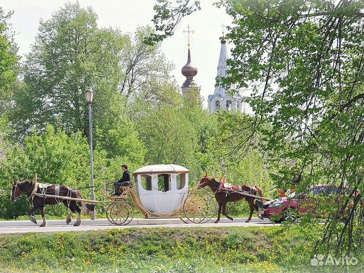 Суздаль Топ-Экскурсия посуздалю насанях данакарете