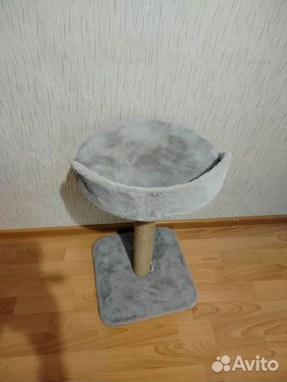 Когтеточка