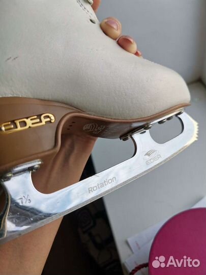 Фигурные коньки edea motivo 195