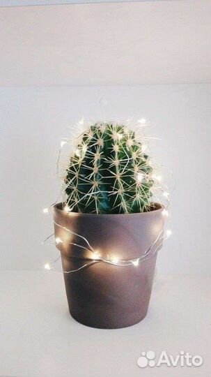 Депиляция воском: глубокое бикини