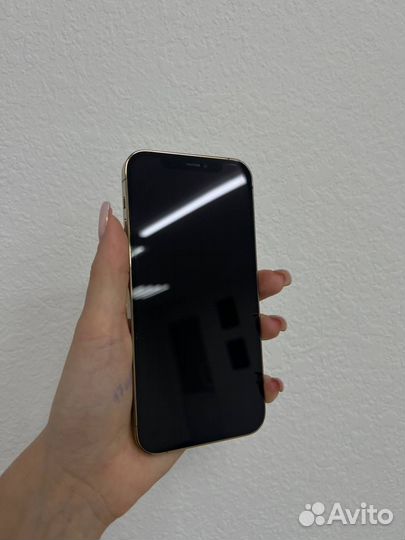 iPhone 12 Pro, 256 ГБ