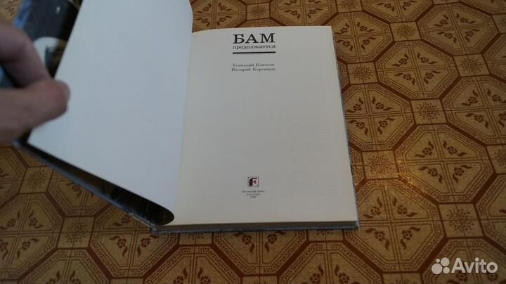 Бам продолжается. Фотоальбом. Предисловие В. Демин