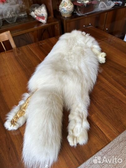 Шкура песца,хорька и лисы