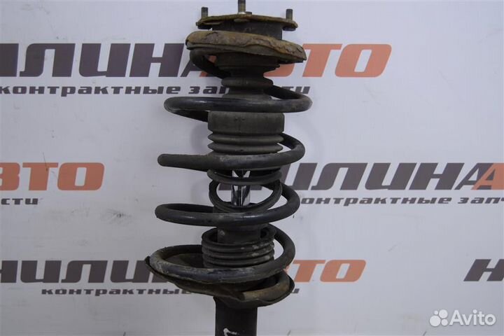 Амортизатор передний правый Ниссан Альмера Н16