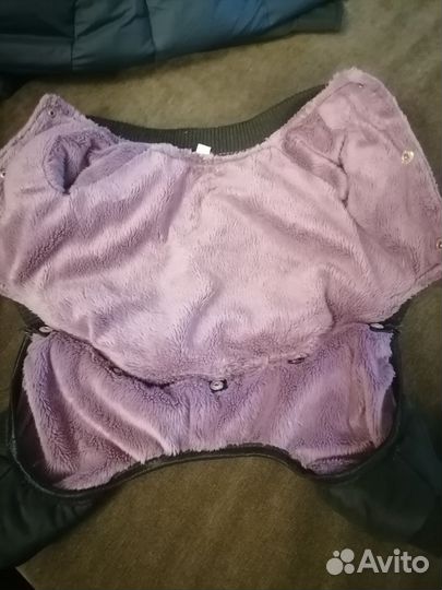 Одежда для маленьких пород собак