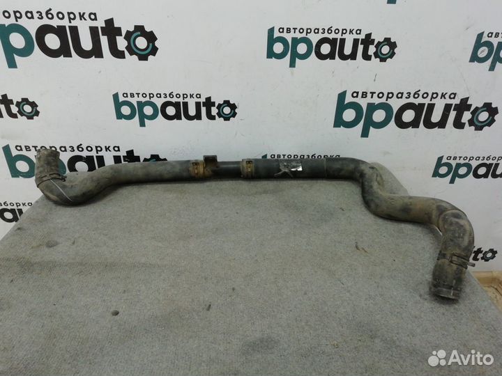 Патрубок системы охлаждения нижний двигатель v25