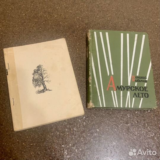2 Книги Амурское лето Разведка сообщает