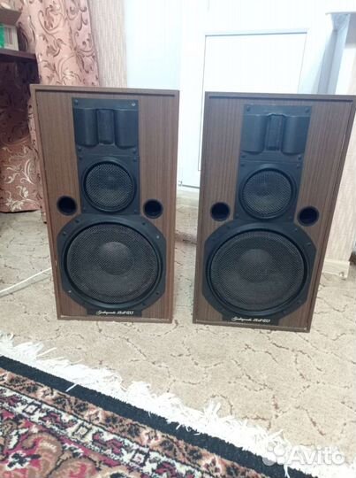 Акустические колонки электроника 25 ас 033