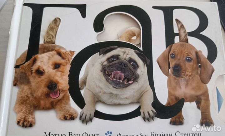 Гав. Книга-игрушка, Мэтью Ван Флит