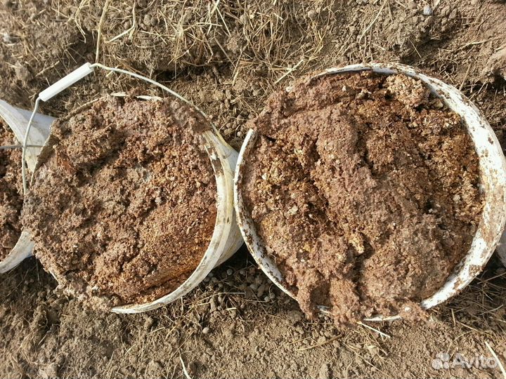 Навоз куриный