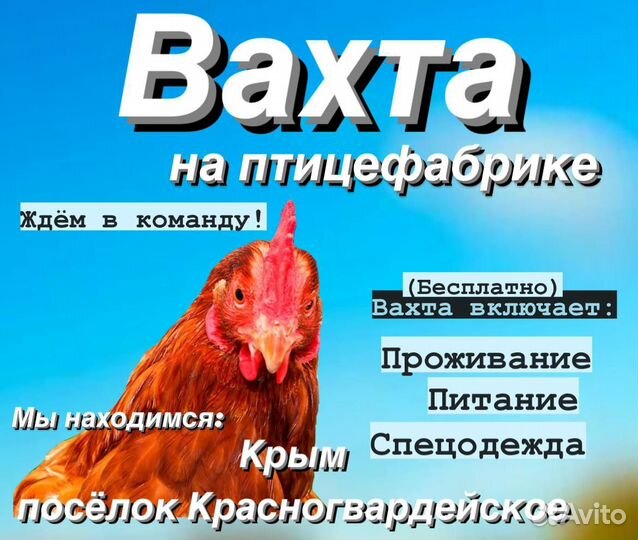 Вахта в Крыму с питанием. Разнорабочий