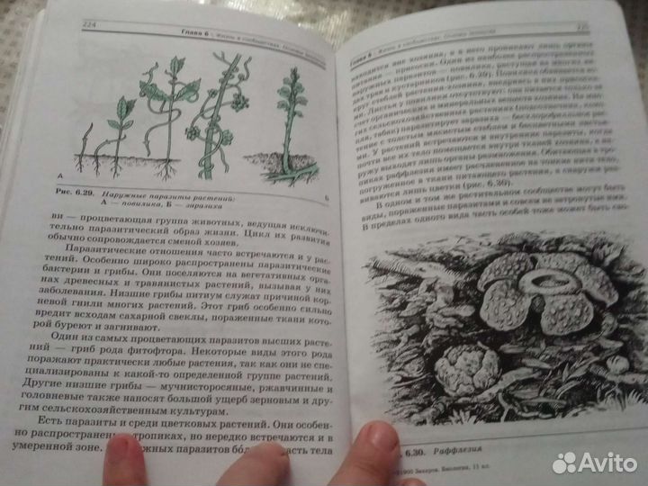 Биология 11 класс